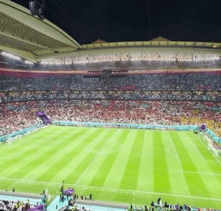 俄轻型飞机,紧急迫降造,人受伤,赌博app下载,网赌app下载