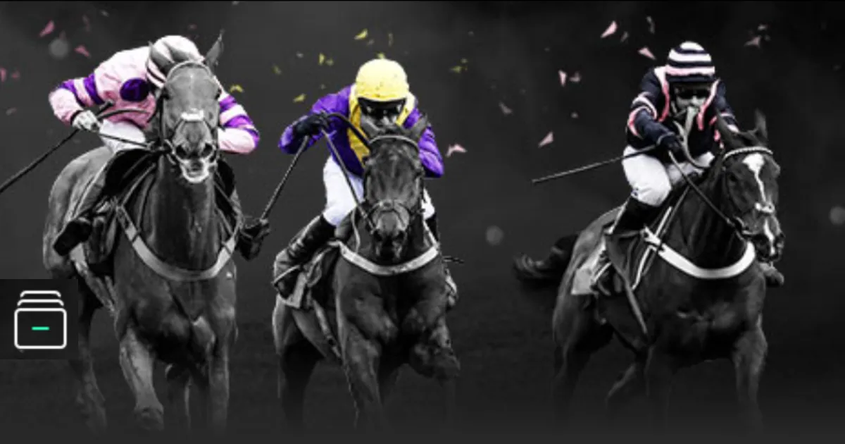 哈特谈大桥,心境平和,认知康复路,赌博app下载,网赌app下载