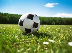 独行侠横扫,开拓者,东契奇三双,赌博app下载,网赌app下载