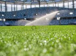 足球盛宴,迎接晨曦,赌博app下载 网赌app,赌博app下载,网赌app下载