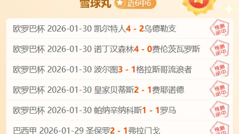 【争议奢华之旅：阿森纳VIP体验昂贵难触，工薪球迷感叹遥不可及】